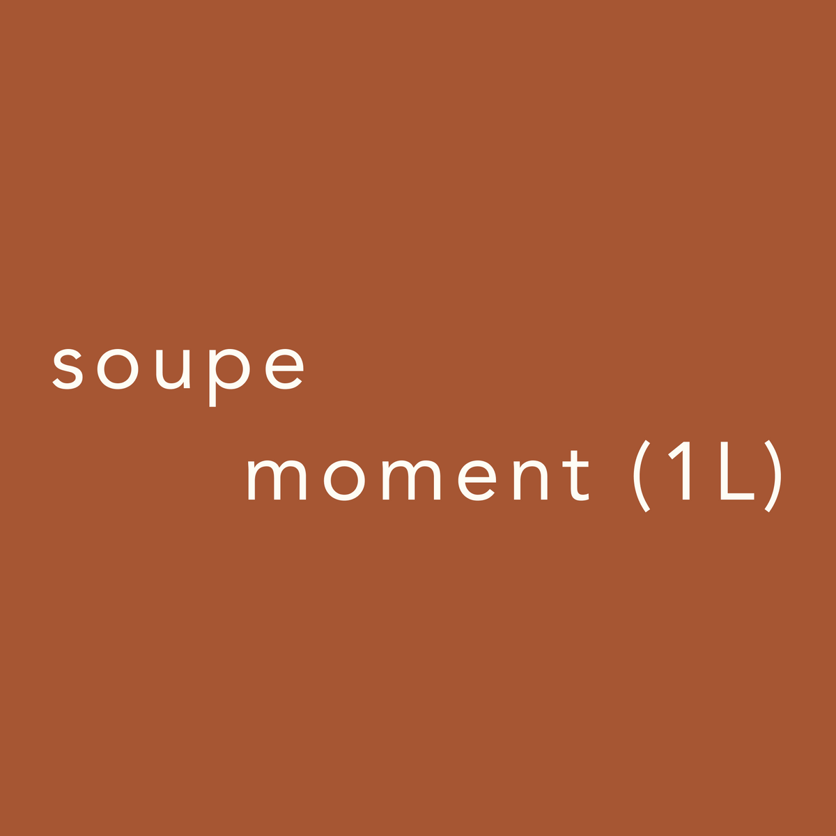 Soupe du moment 1L
